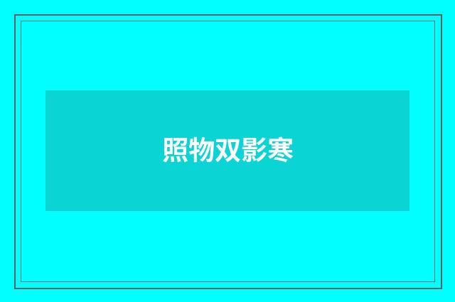 照物双影寒