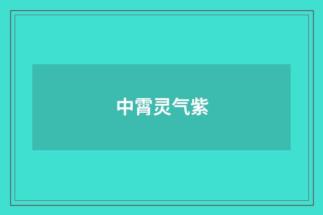 中霄灵气紫