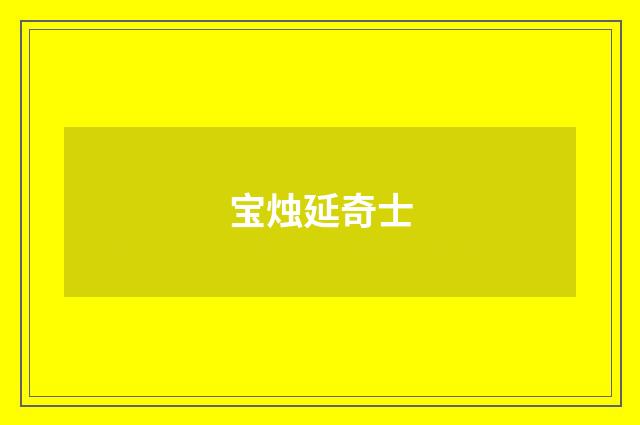宝烛延奇士