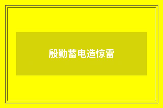 殷勤蓄电造惊雷