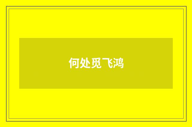 何处觅飞鸿