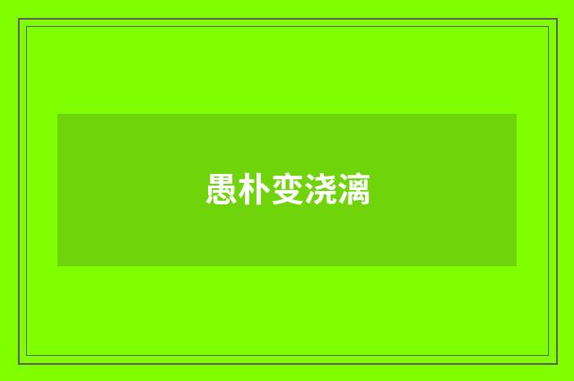 愚朴变浇漓