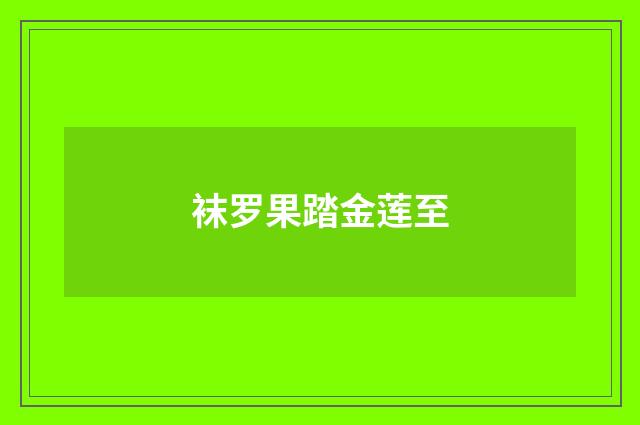 袜罗果踏金莲至