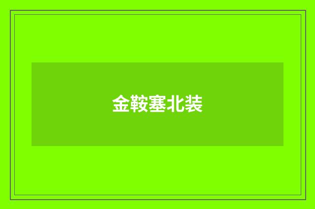 金鞍塞北装