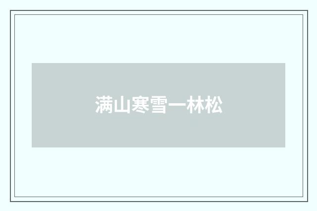满山寒雪一林松