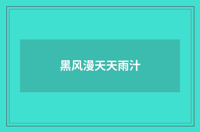 黑风漫天天雨汁
