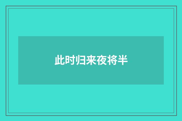 此时归来夜将半