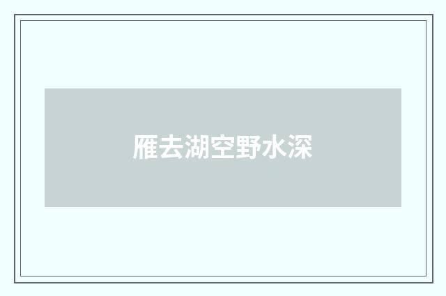 雁去湖空野水深