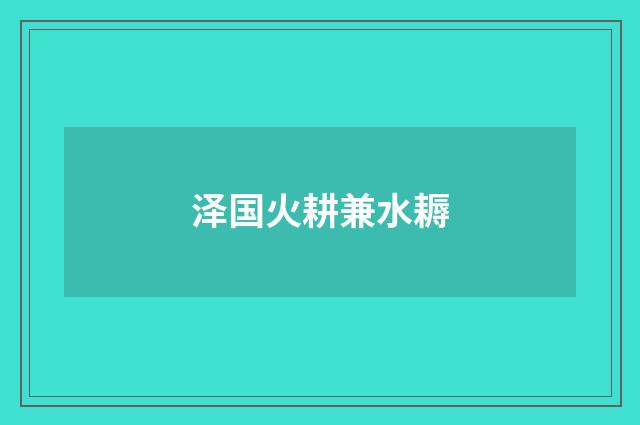 泽国火耕兼水耨