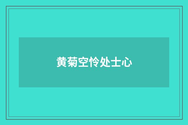 黄菊空怜处士心