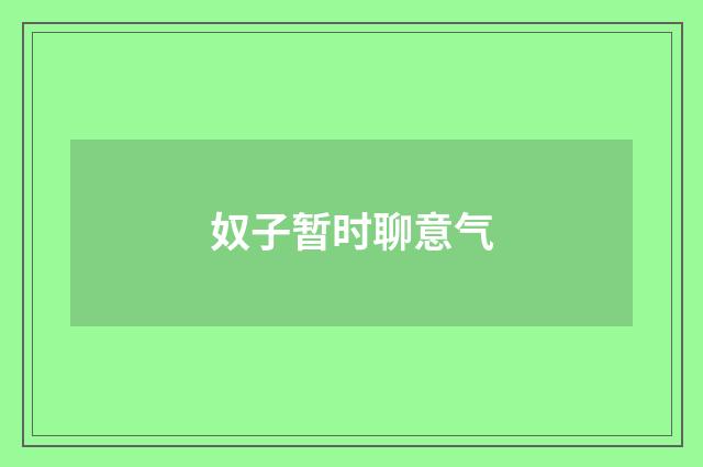 奴子暂时聊意气