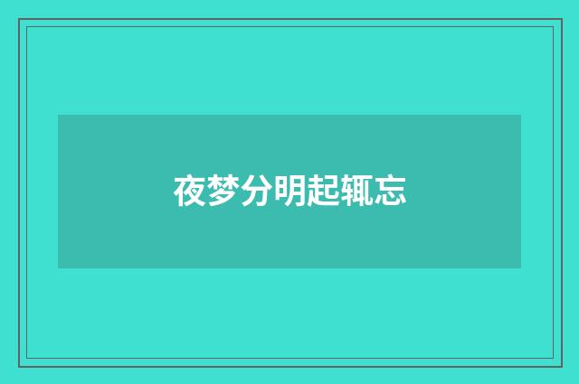夜梦分明起辄忘