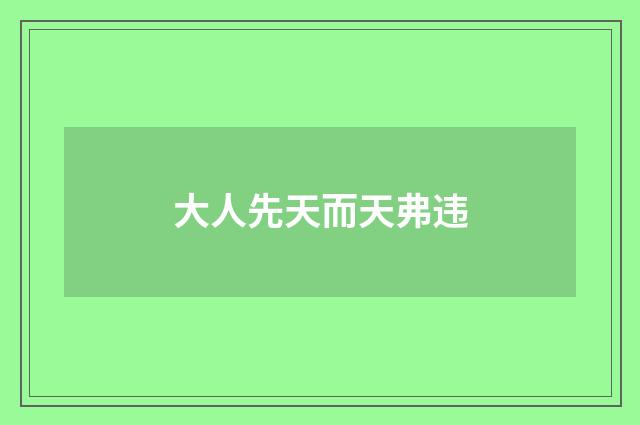 大人先天而天弗违