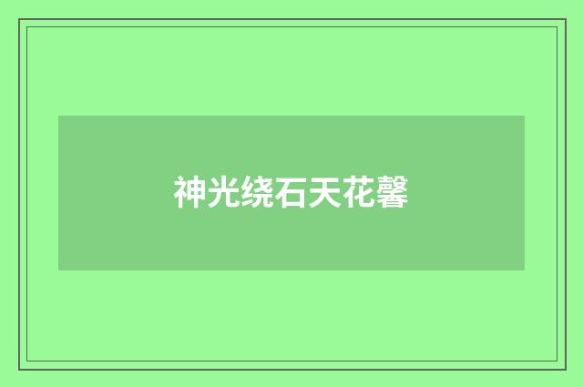 神光绕石天花馨