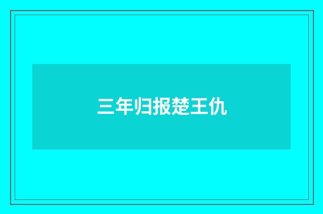 三年归报楚王仇
