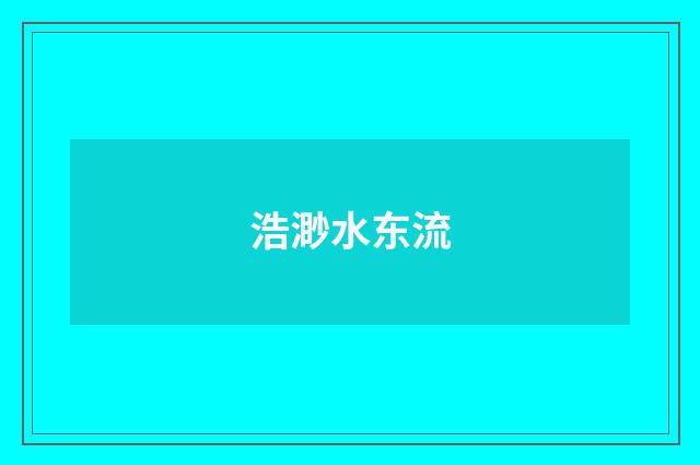 浩渺水东流