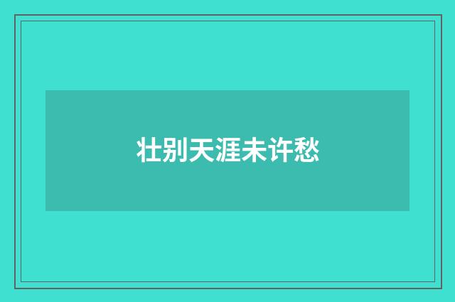 壮别天涯未许愁