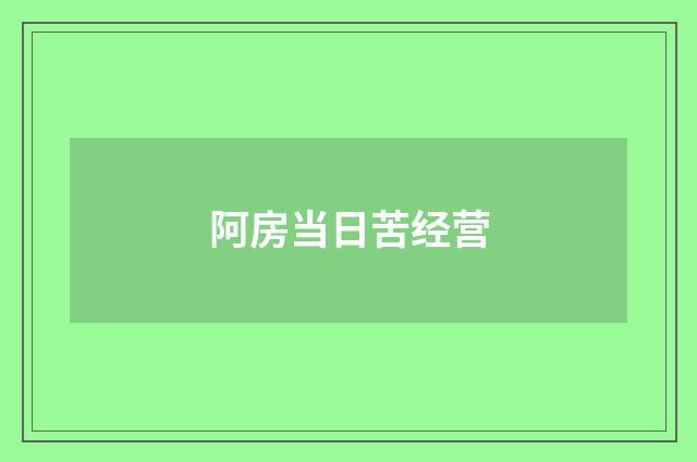 阿房当日苦经营