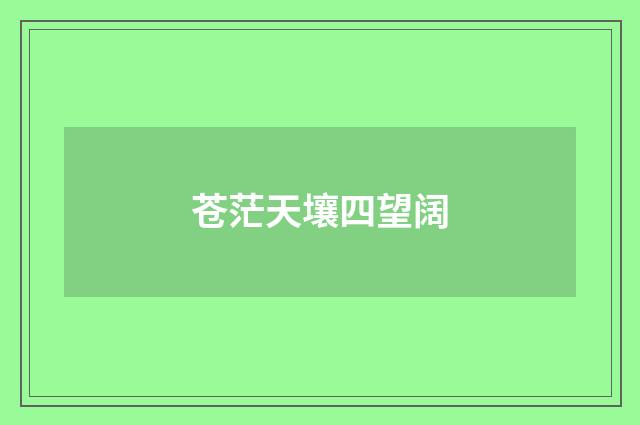 苍茫天壤四望阔