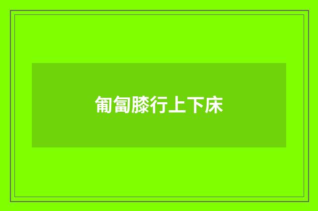 匍匐膝行上下床