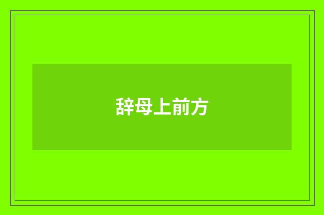 辞母上前方