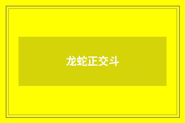 龙蛇正交斗