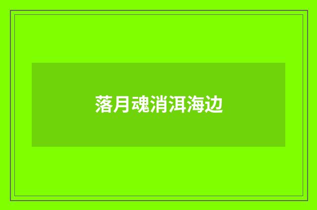 落月魂消洱海边