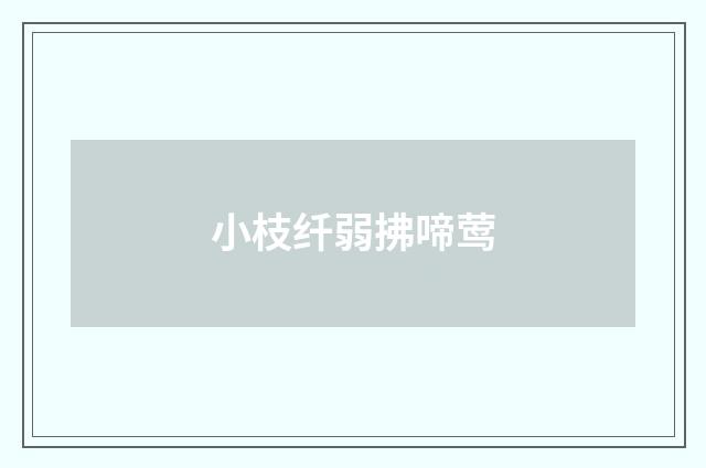 小枝纤弱拂啼莺