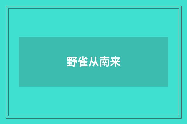 野雀从南来