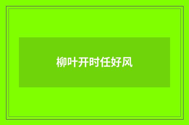 柳叶开时任好风