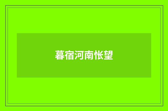 暮宿河南怅望