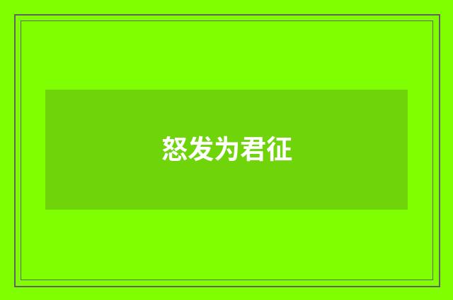 怒发为君征
