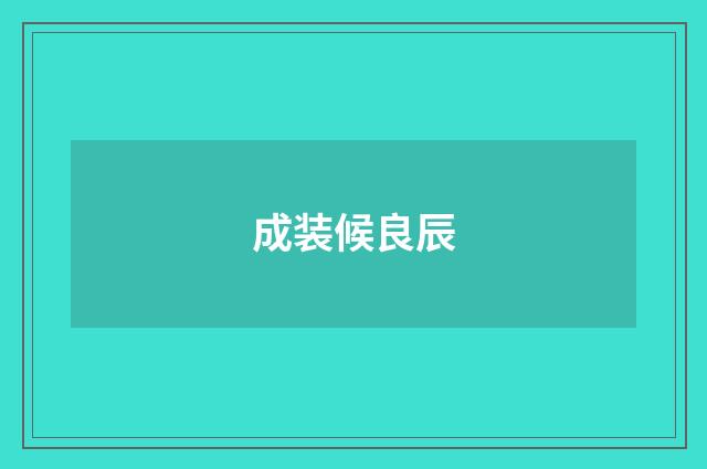 成装候良辰