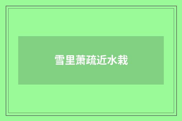 雪里萧疏近水栽
