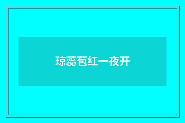琼蕊苞红一夜开