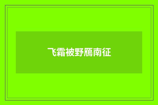 飞霜被野鴈南征