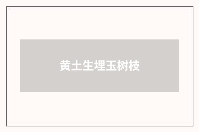 黄土生埋玉树枝