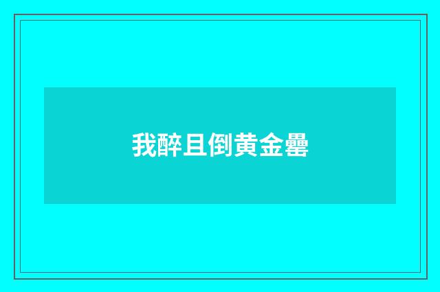 我醉且倒黄金罍