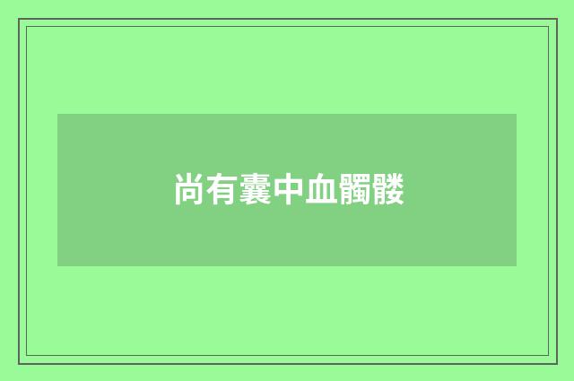 尚有囊中血髑髅