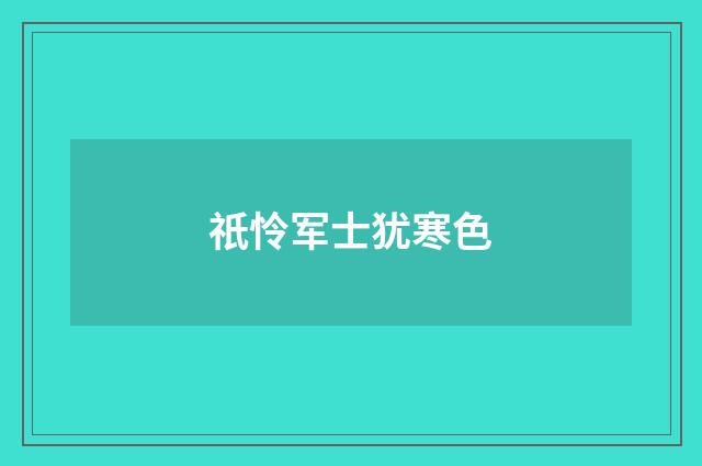 祇怜军士犹寒色