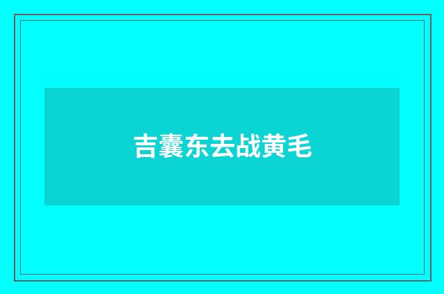吉囊东去战黄毛