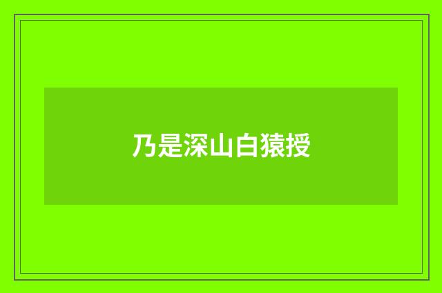 乃是深山白猿授
