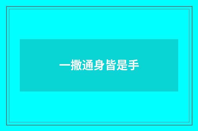 一撒通身皆是手