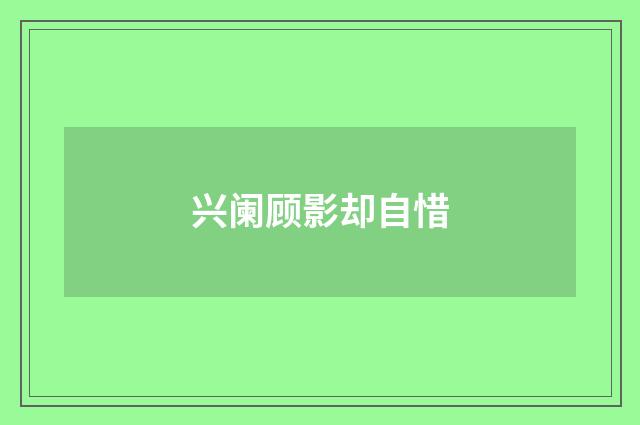 兴阑顾影却自惜