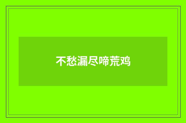 不愁漏尽啼荒鸡