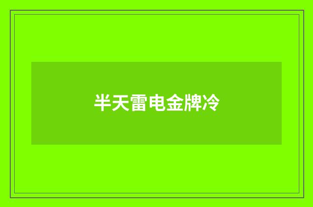 半天雷电金牌冷