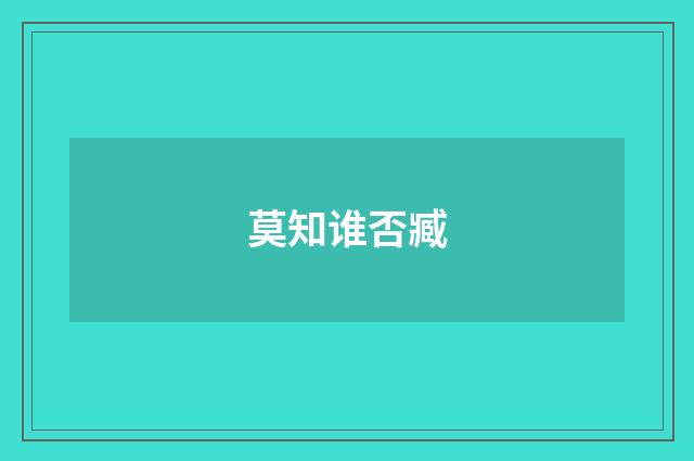 莫知谁否臧