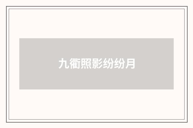 九衢照影纷纷月