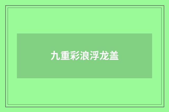 九重彩浪浮龙盖