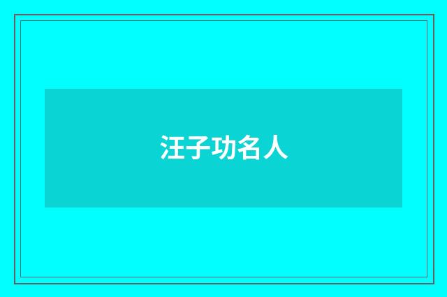 汪子功名人